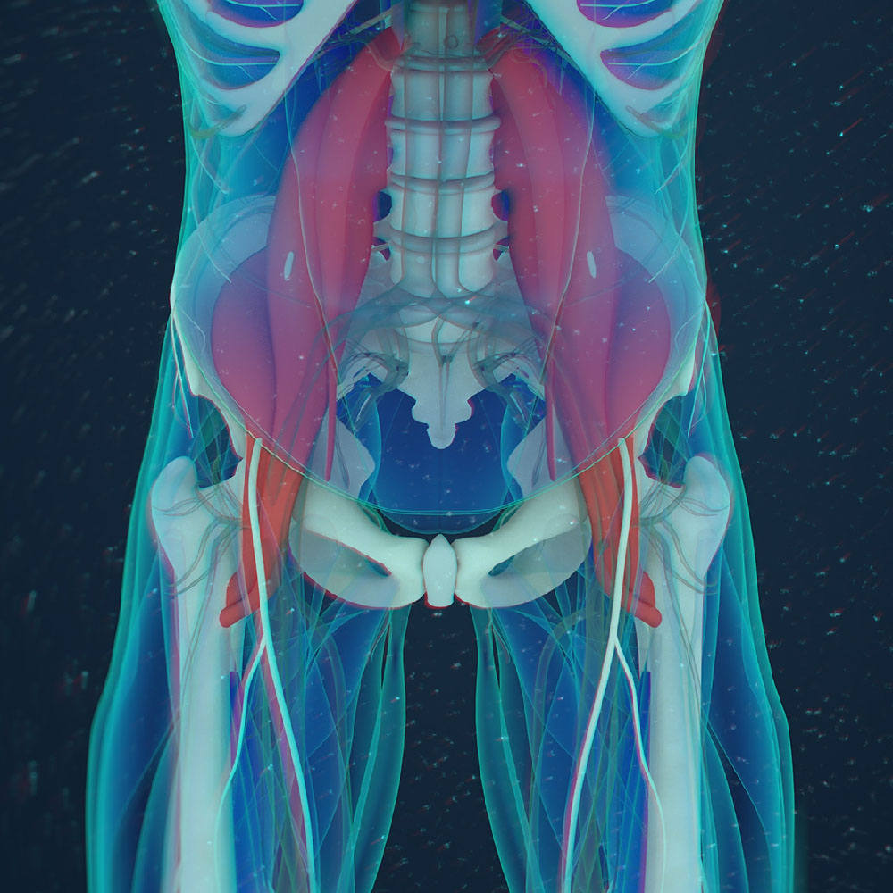 Psoas behandeling Den Haag door specialist Bruno Treipl