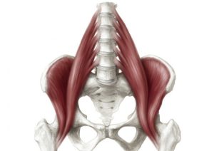 psoas klachten