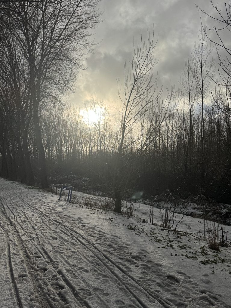 Winters pad door het bos bij zonsopgang, locatie van de Midwinter Psoas Retraite
