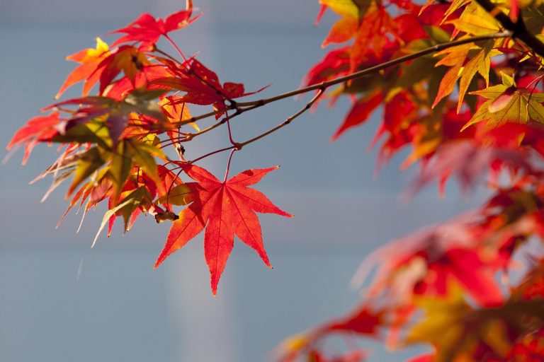 Herfst Retraite Lochem